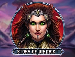 Story Of Vikings screenshot